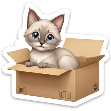  A very cute gery young happy kitten long hair Siamese Cat cat with one's head tilted to one side poked its paws out of the cardboard big box and placed them on top of it sticker