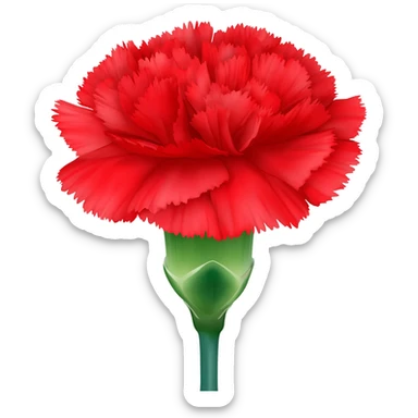 carnation flower sticker