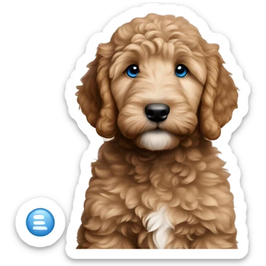 Light brown goldendoodle-puppy blue eyes sticker