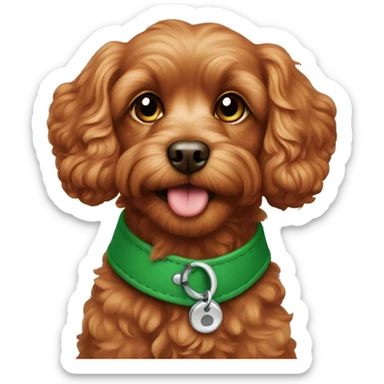 Red cavapoo with green collar sticker