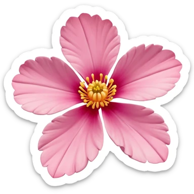 coquina flower sticker