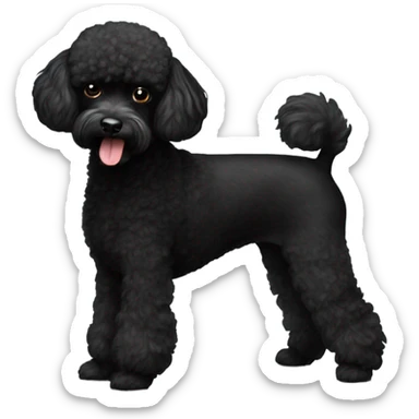 Black Yorkipoodle with a big butt sticker