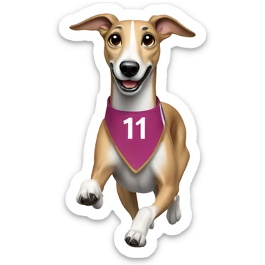 Greyhound running with sash with number 1 sticker