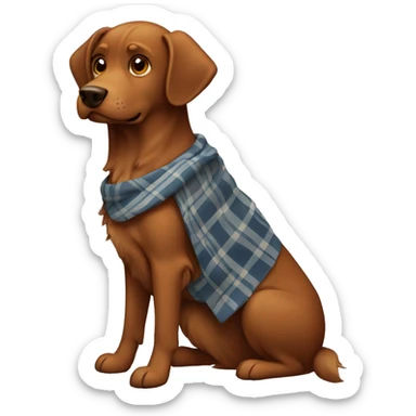 A brown dog with a plaid sticker