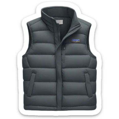 dark gray patagonia gilet sticker