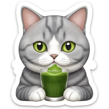 Cat britishshort hair with matcha sticker