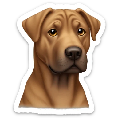 Brown Labrador cross sharpei sticker