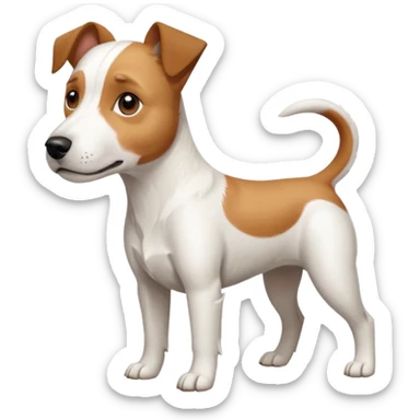 a full body large white parson russell terrier looking dog the size of a kelpie with light brown long ears and a light brown patch on one eye and a large snout sticker