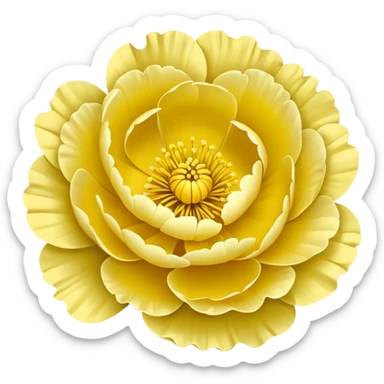 Buttercup peony flower  sticker