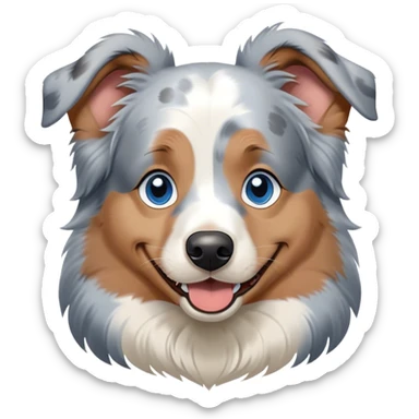 blue merle australian-shepherd blue eyes teen happy playful sticker