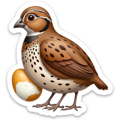 can you make a quail and quail egg emoji sticker