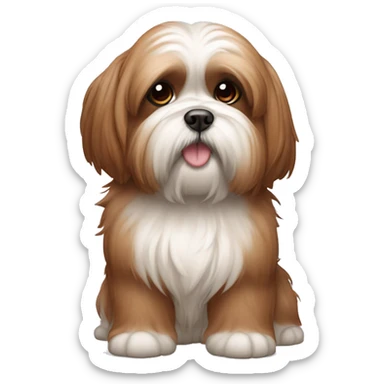 Lhassa apso marron patte blanche qui joue sticker
