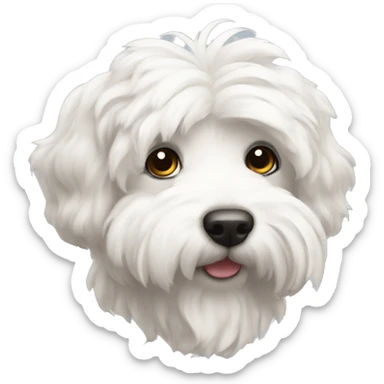 Coton de Tuléar  sticker