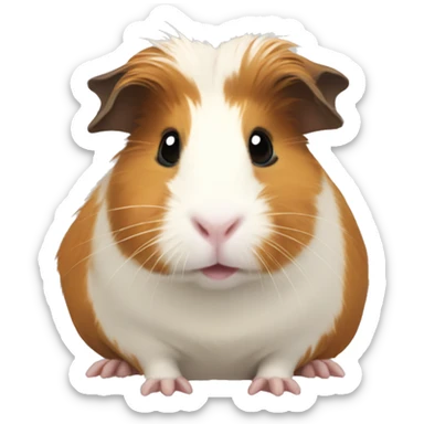 guinea pig sticker