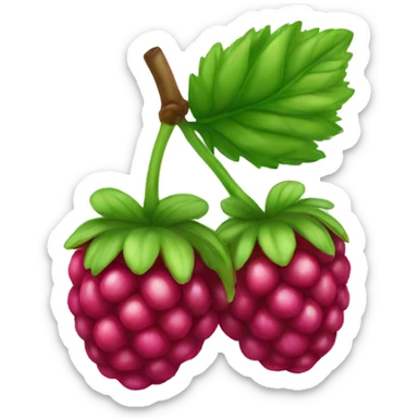 Rainbow raspberry  sticker