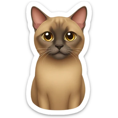 burmese cat sticker