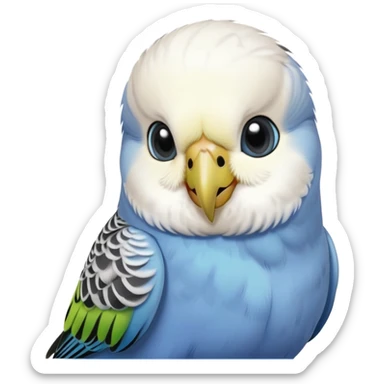 budgie, grey feathers, white head, iphone quality sticker