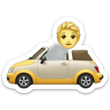 Car with nija sticker