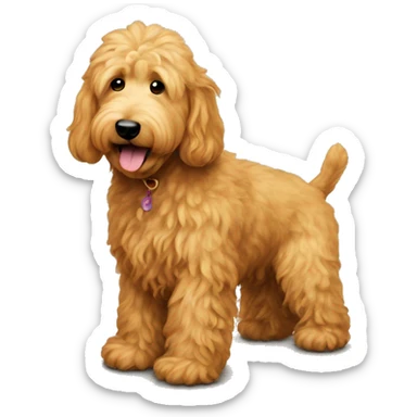 A golden doodle pooping on the carpet sticker