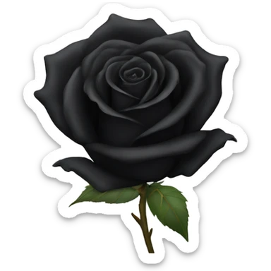 black rose  sticker