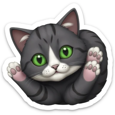 solid dark grey cat with green eyes, completely solid grey face, white toes/paws playing rolling upside down sticker