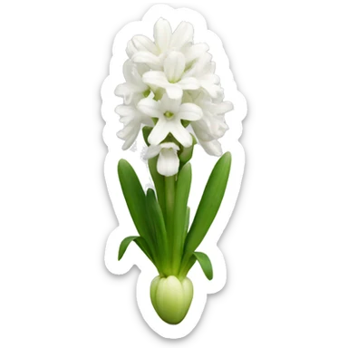 White hyacinths  sticker