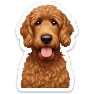 Brown man with straight hair and a red goldendoodle sticker