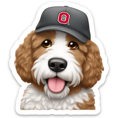 Bernedoodle with Ohio state baseball cap sticker