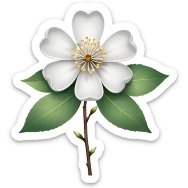 white sakura flower with a bow on the stem sticker