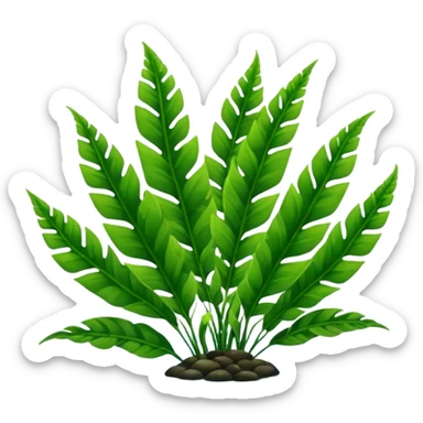 java fern sticker