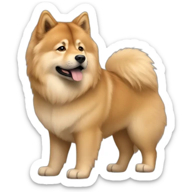 elon musk with Eurasier sticker
