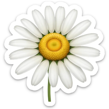 chamomile sticker