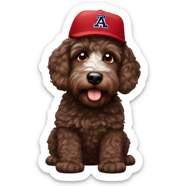 Chocolate brown Aussie doodle wearing a University of Arizona baseball hat sticker