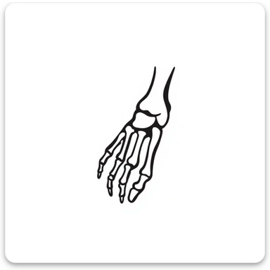 hand-drawn skeleton foot anatomy with visible bones and joints sticker