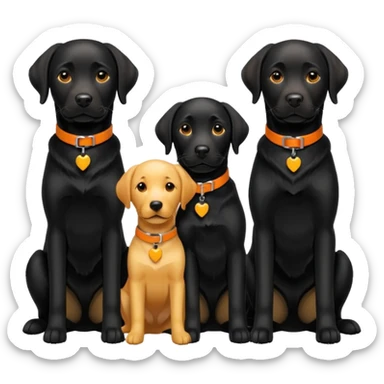 1 black labrador with yellow collar, 1 black labrador with orange collar, 2 dogs in 1 picture sticker