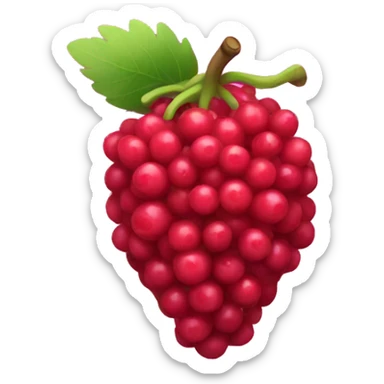 Berry  sticker