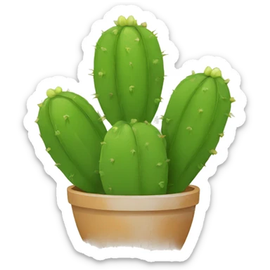 single flat Nopal without pot sticker