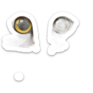 Norwegian forest cat sticker