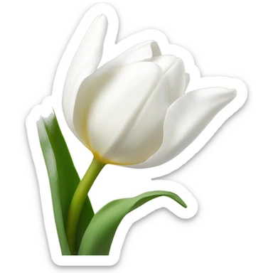 white tulip sticker