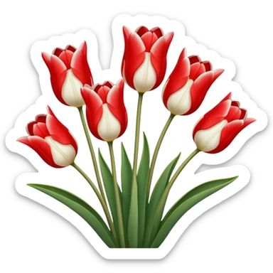 🌷Five much Tulip on white color sticker
