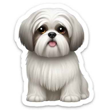 White shih tzu  sticker