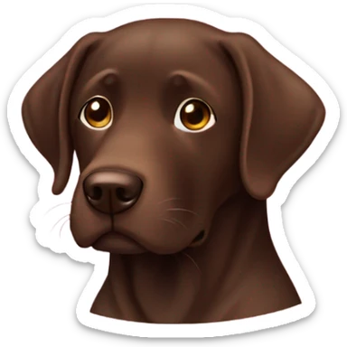 Chocolate lab, doctor sticker