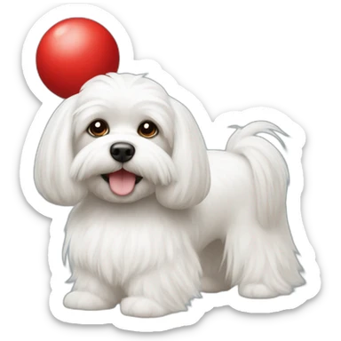 Maltese with two pony hairs tied by two red balls sticker