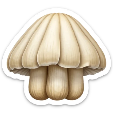 oyster mushroom sticker