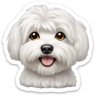 Havanese bichon dog sticker