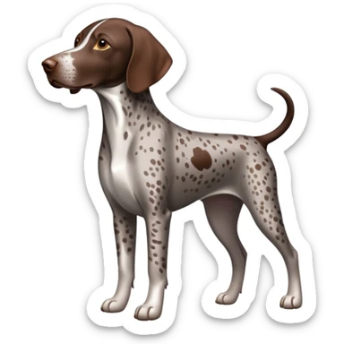 Liver roan German Shorthaired Pointer  sticker