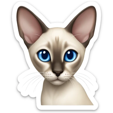 Oriental siamese cat sticker
