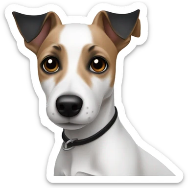 Fully white Jack russel with black ears sticker