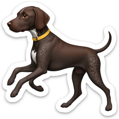 black German shorthair pointer dog running sticker