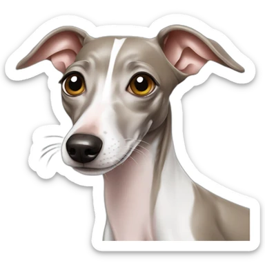 italian greyhound winking with star sticker